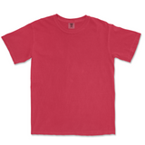 Comfort Colors 1717